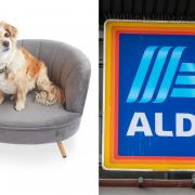 You can buy your pets their own sofa and chairs in Aldi (Aldi/PA)