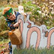 The Superworm Trail at Moors Valley Country Park and Forest