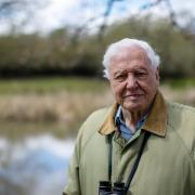Sir David Attenborough to present a new documentary for the BBC called, Dinosaurs: The Final Day. Picture: PA