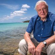 Here’s how you can wish David Attenborough a happy birthday (Thankbox)