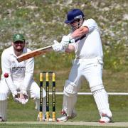 Rich Cole hit 29 not out in Bere's middle order 				      Picture: BRIAN ROSSITER