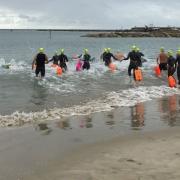 NOT DETERRED: Swimmers going into the water for the 2017 Lyme Splash event.