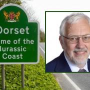 Councillor Tony Ferrari said Dorset Council's investment zone bid would 'fall away'
