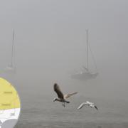 Met Office warning of freezing fog in place for Dorset