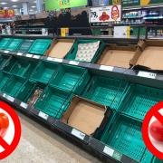 No peppers or tomatoes could be seen in Morrisons Weymouth as the salad shortage continues