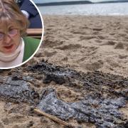 Minister Rebecca Pow has spoken in the House of Commons about the oil spill in Poole Harbour