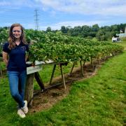 Yasmin Reid runs her grandparents Pick-Your-Own farm and tea rooms