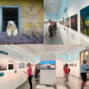 Dorchester: Wildlife Photographer of the Year exhibition can be seen at Dorset Museum
