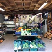 Steeptonbill Farm Shop in Milton Abbas