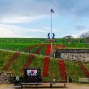 Nothe Fort will be unveiling their poppy display as part of Remembrance event on Satuday