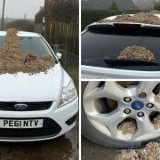 Vandalism to a car in North Bowood