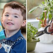 The Little Seedlings Club at Dobbies and, right, the Grow How workshop