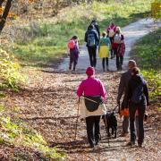 Walking group supporting mental wellbeing