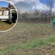 Volunteers helped rake a truckload of dead grass on Middle Farm Way