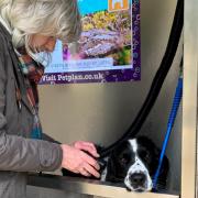 A new dog wash service has been opened at Hardy's Birthplace Visitor Centre near Dorchester