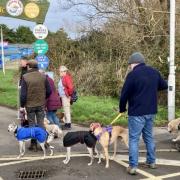 Dog Friendly Health Walks at Lodmoor