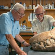 Fossil museum visited by TV legend reopens after 