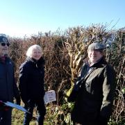 Chilfrome hedge survey with Kate Adie