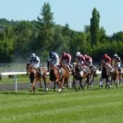 Horse race stock image