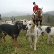 A stock image of a hunt in England