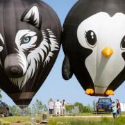 The Dorset Hot Air Balloon takes place in Dorchester this weekend