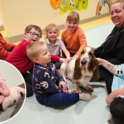 Rosie, the therapy dog with customers at Nikki's Little Play Café