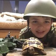 Last year's winners: Alfie Townsend and his pet tortoise MG