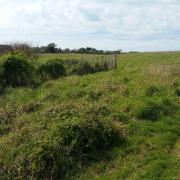 Land at Wyke Oliver Farm, Preston, potential development site
