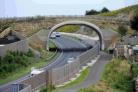 CYCLE SHOCK: The path below footbridge on Weymouth Relief Road at Littlemoor where the cyclist was found