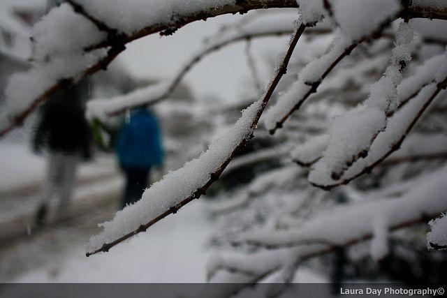 A snowy walk in Portesham, captured by Laura Day