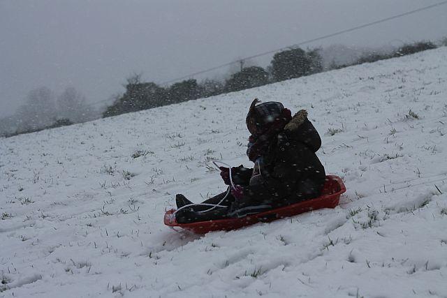 Snow 2013 around Dorset