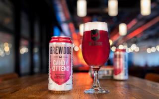 The beer will encompass notes of flavour from Candy Kitten's Raspberry and Guava Gourmies sweets (Brewdog/Candy Kittens)