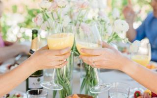 WeThrift is looking for Bottomless Brunch Testers - How to apply (Canva)