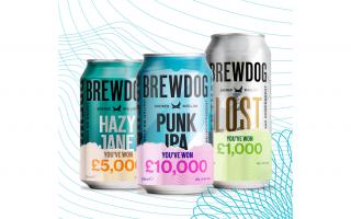 There are over 50 BrewDog cans to be found in 12-can packs that have some monetary value (BrewDog)