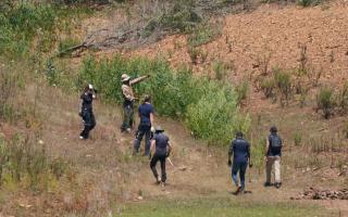 Police could be seen photographing the woodland on Thursday morning where they were conducting the latest search for Madeleine McCann.