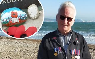 David Wolstencroft is upset that the pebble he painted to honour fallen soldiers has gone missing