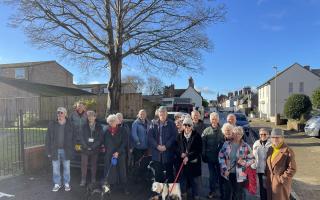 Residents rally against a proposed felling of a sycamore tree in Wareham Image: Daily Echo