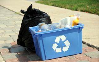 Dorset Council named best unitary authority in country for recycling