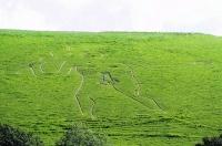 SORE POINT: The Cerne Abbas giant has been targeted by the Fathers 4 Justice group	 JG1910
