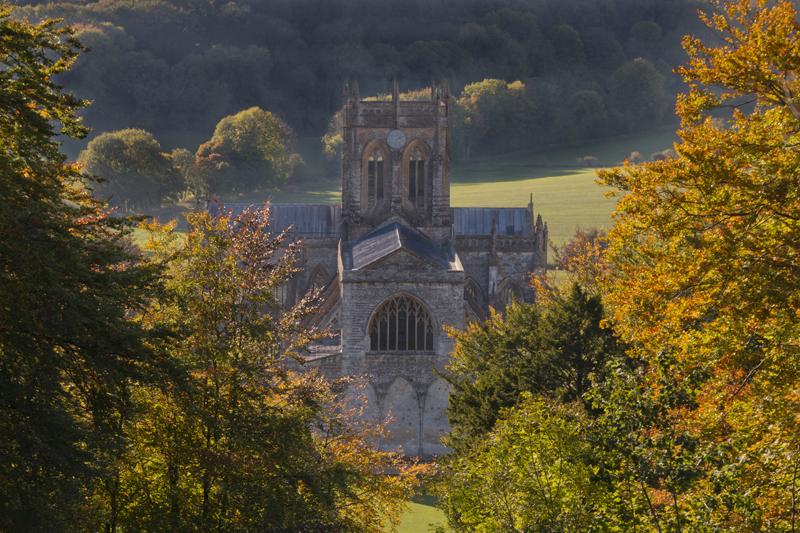 Autumn View, Milton Abbey by Kev Westmacott