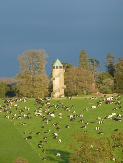 The Leweston Water Tower, near Sherborne, will be open to the public to raise money for St Martin’s Church in Lillington 