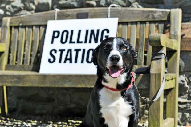 Dorset Echo: POLLING STATIONS FOR 2017 COUNCIL ELECTION Polling stations for the 2017 council election Pictured: Frank the dog outside Lindal polling station, Buccleuch Hall, the Green Lindal in Furness, Ulverston, Thursday 4th May 2017 LEANNE BOLGER